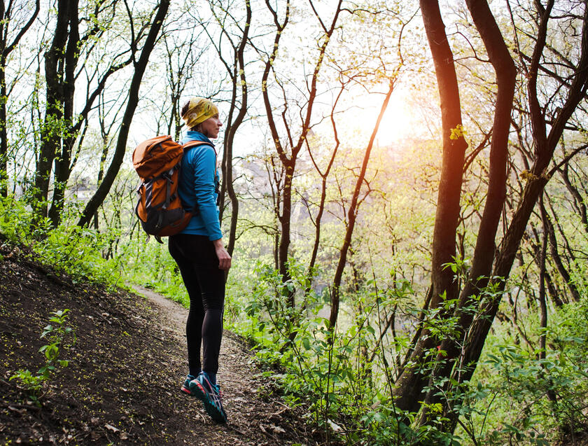Image of a hiker with a backpack standing on the trail